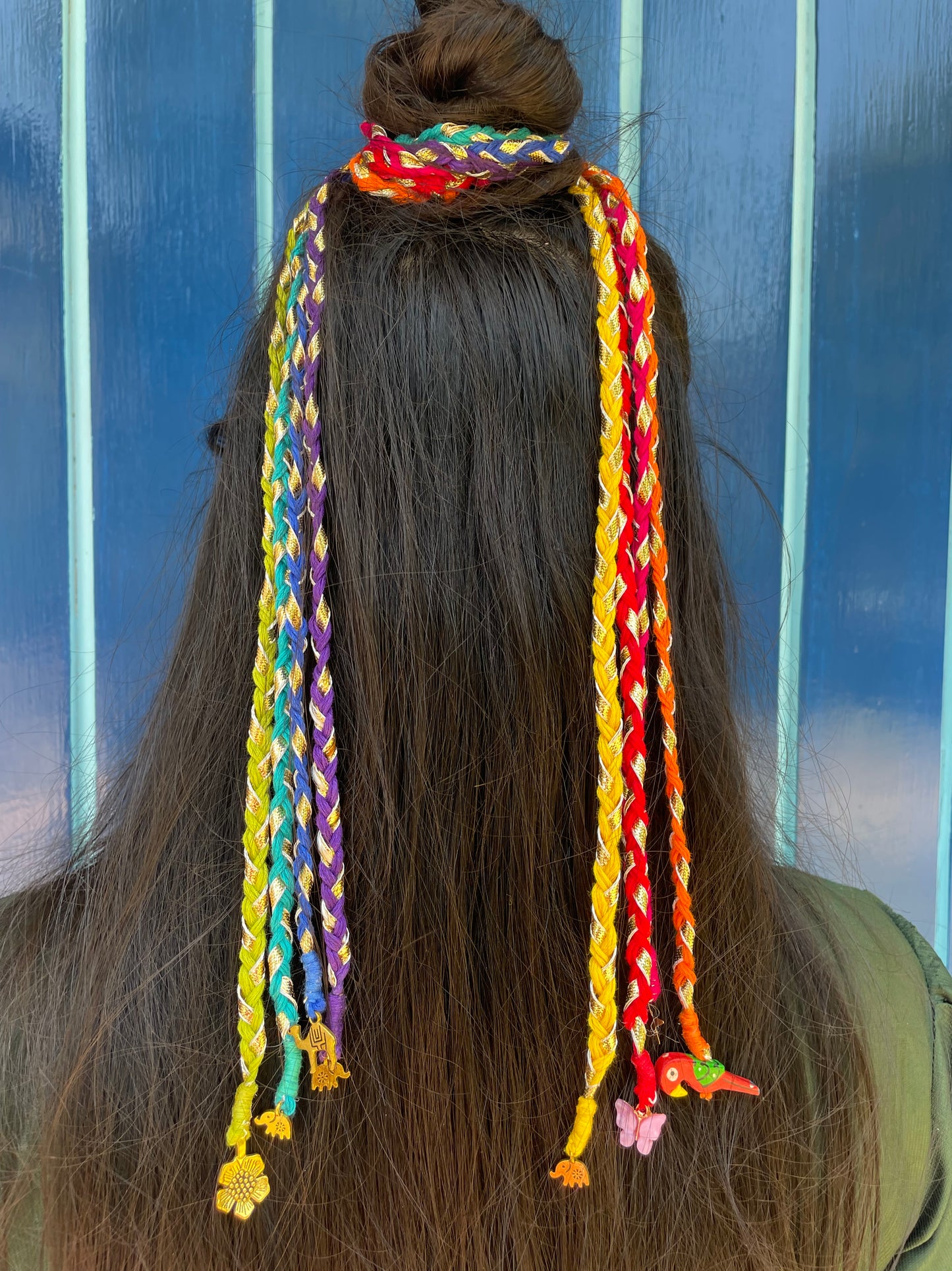 Rainbow hairbraids