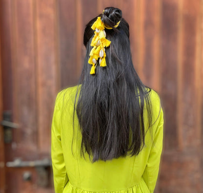 Peela paranda and earrings