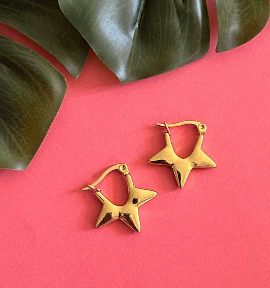 Sitara mini hoops - Kalakari